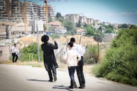 שבת התאחדות של סאטמר בצפת