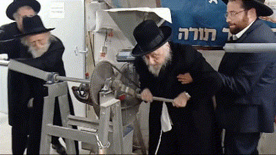 תיעוד נדיר | ראש הישיבה והמקובל הגר"ש גאלי בטחינת חיטים