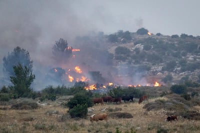 מאמצים לכיבוי השריפות