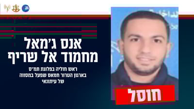 אנס אל שריף - מי שפעל במסווה של עיתונאי 