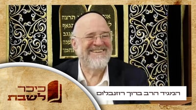 המגיד הליטאי הרב ברוך רוזנבלום בשיעור לפרשת נח • צפו