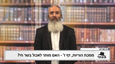 פנינת הדף היומי
