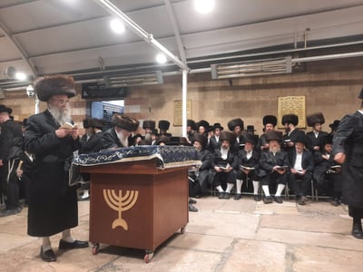 הגה"צ גאב"ד מאקאווא באמירת הסליחות במערת המכפלה