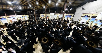 מוצאי יום כיפור בנדבורנה