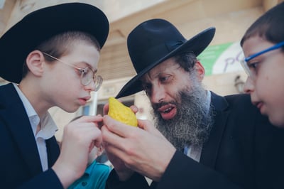 מדקדקים במצוות: כך בחרו בשווקי ארבעת המינים את הסט המהודר | תיעוד