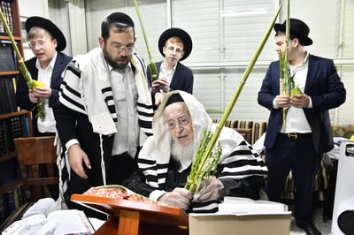 הגאון רבי מאיר צבי ברגמן בנטילת לולב