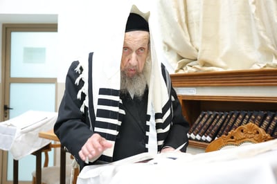 הושענא רבה אצל הגר"ד לנדו