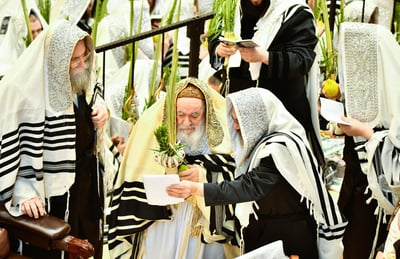 הושענא רבה בחצה"ק ויז'ניץ