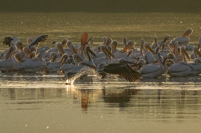 התחזית: ירידה קלה בטמפרטורות | בסוף השבוע: התחממות 