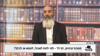 פנינת הדף היומי