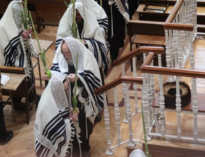 שמחת בית השואבה ונענועים בחצה''ק פאפא