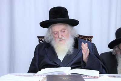 הגאון רבי משה שטרנבוך