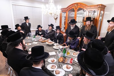 שמחת הווארט והתנאים לנכדת האדמו"ר מבאבוב 45