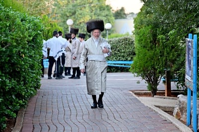 שבת התאחדות קהילת המתמידים במירון