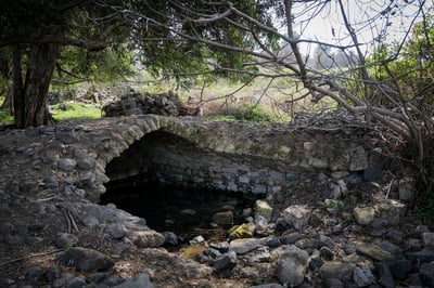 שמורת הטבע עין פית