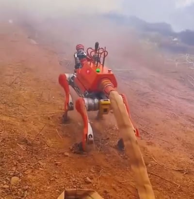 הרובוט בפעולה