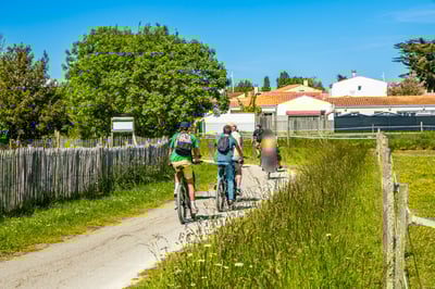 רוכבי אופניים באי אולרון בצרפת