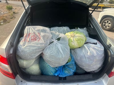 ניסיון הברחת הביצים