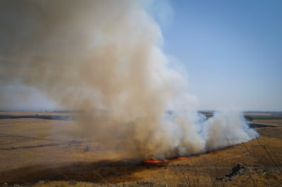שריפה בשטח פתוח 