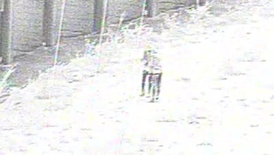 מחבלים משליכים בקבוקי תבערה לציר אזרחי מרכזי - ומחוסלים תוך שניות