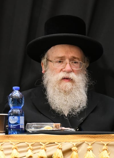 הגאון רבי אליעזר מאירוביץ זצ"ל