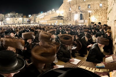 האדמו"ר ממחנובקא בעלזא בכותל המערבי