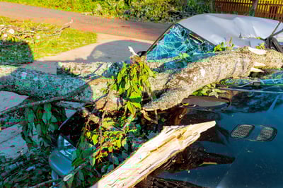 אילוסטרציה