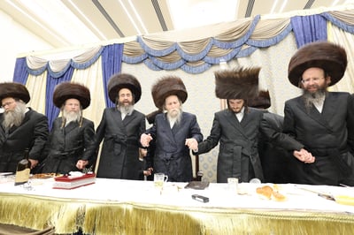 שמחת שבע הברכות לנכד האדמו"ר מערלוי