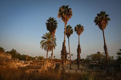 התחזית: חם מהרגיל עד שרבי בכל אזורי הארץ; מתי החורף יחזור?