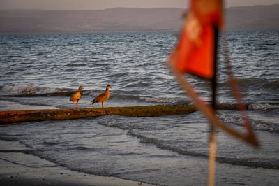 הכנרת בסוף השבוע 