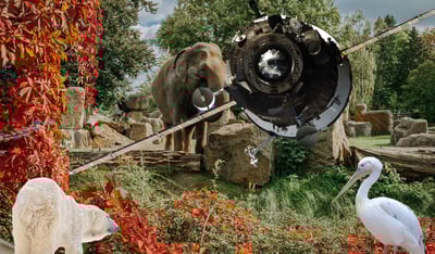 אילוסטרציה