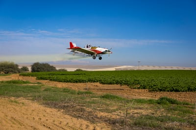 גבול עזה, אתמול 