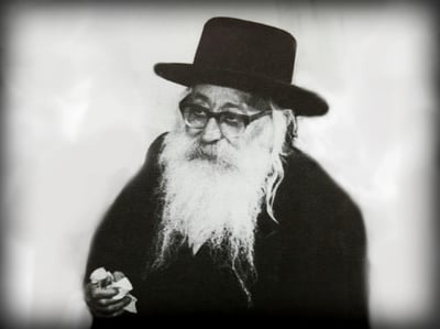 הרה"צ רבי דוד לייב שווארץ זצ"ל