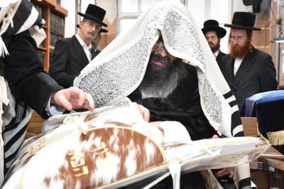 שמחת הברית לנין האדמו"ר מנאראל 