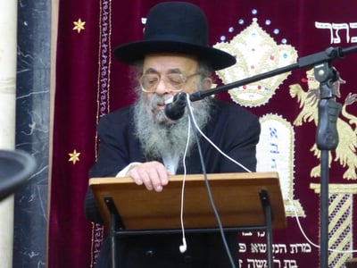 הגאון רבי דוד שמידל