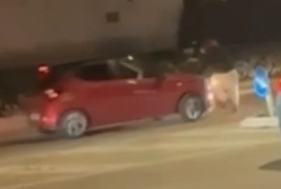 רגעי הפגיעה