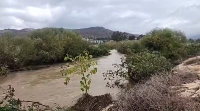 שטפונות בנחלים