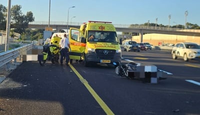 זירת התאונה, הבוקר