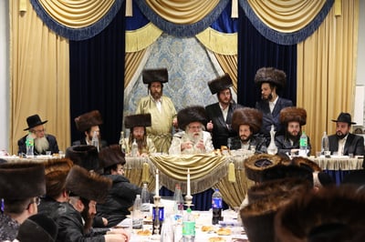 הילולא קדישא בשאץ דרהביטש