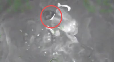 תיעוד דרמטי: משמר החופים של ארה"ב במבצע חילוץ נועז בלב ים 