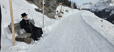 האדמו"ר מסערט ויז'ניץ בנאות דשא בשווייץ