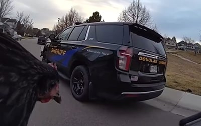 מתיעוד התקרית המשעשעת