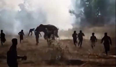 הענק שזורע אימה: תיעוד דרמטי של 'הפיל הקטלני' מהודו רודף אחרי תושבים חסרי אונים