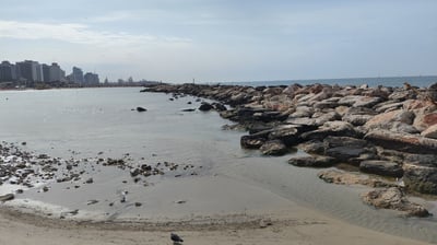 חוף הים בתל אביב 