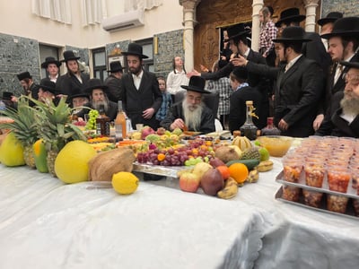 האדמו"ר מאשלג בטיש ט"ו בשבט