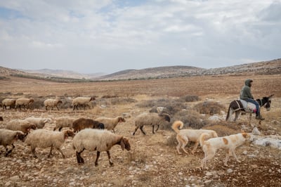 אילוסטרציה