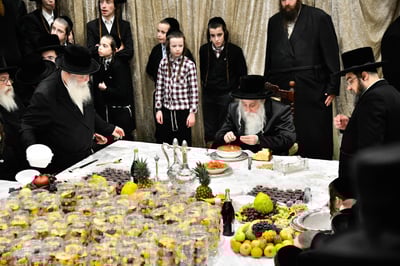 האדמו"ר ממחנובקא בעלזא בטיש ט"ו בשבט