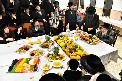 האדמו"ר מדעעש בעריכת השולחן לרגל ט"ו בשבט