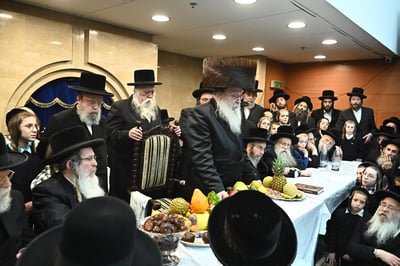 ט"ו בשבט בחצה"ק נדבורנה