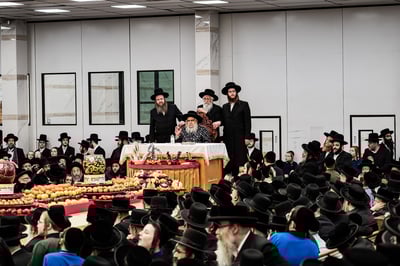 האדמו"ר מסאטמר בטיש ט"ו בשבט